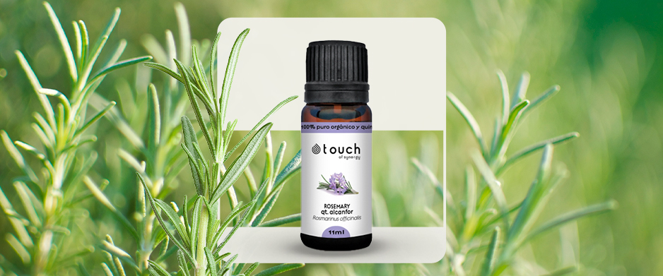 óleo essencial de alecrim