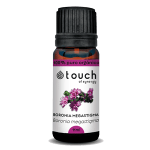 Absoluto de Boronia 11ml (<i>Boronia megastigma</i>)