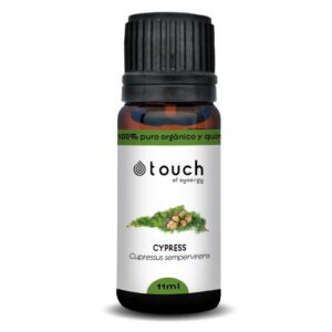Cipreste 11ml (Cupressus sempervirens)