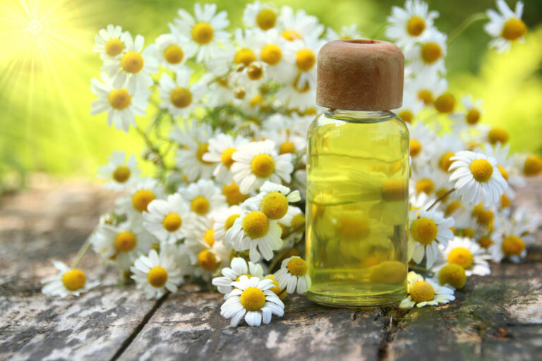 Para que serve o Óleo Essencial de Camomila Alemã