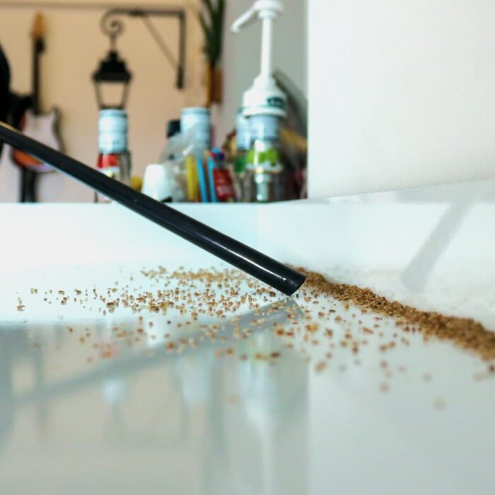 IMG_6978.jpg IMG_6978.jpg